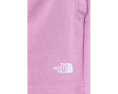 Шорты The North Face Double Knit