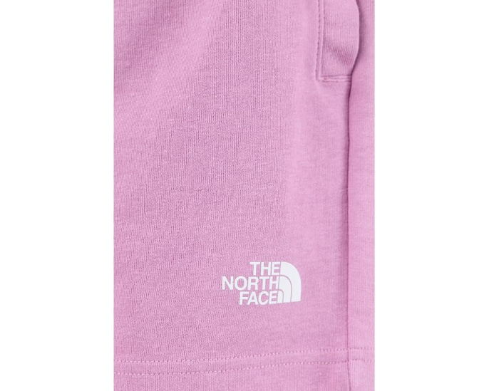 Шорты The North Face Double Knit