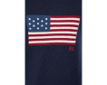 Свитер The Iconic Flag от Polo Ralph Lauren с историческим флагом США