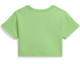 Футболка Polo Ralph Lauren с логотипом Big Pony