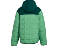 The North Face Детская реверсивная куртка Shasta с капюшоном и утеплителем