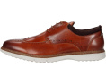Оксфорды Stacy Adams Synergy Wing Tip с контрастной строчкой