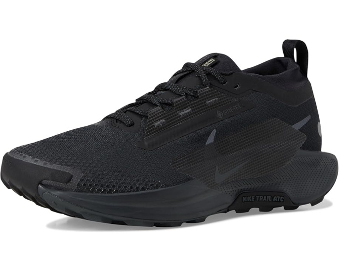 Трейловые кроссовки Nike Pegasus Trail 5 GORE-TEX для сырой погоды