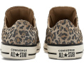 Кеды Converse Chuck Taylor All Star с леопардовым жаккардом