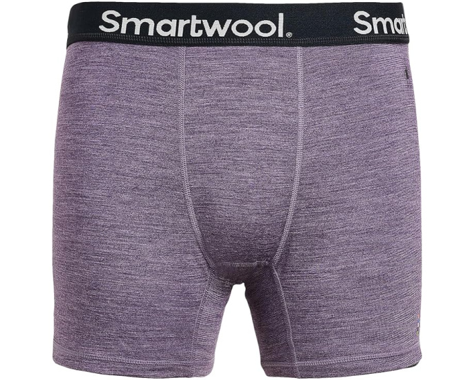 Боксеры Active Boxer Brief от Smartwool