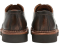 Дерби Allen Edmonds Cillian из итальянской кожи