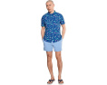 Плавательные шорты Chubbies Alpine Skies 5.5 дюймов на подкладке