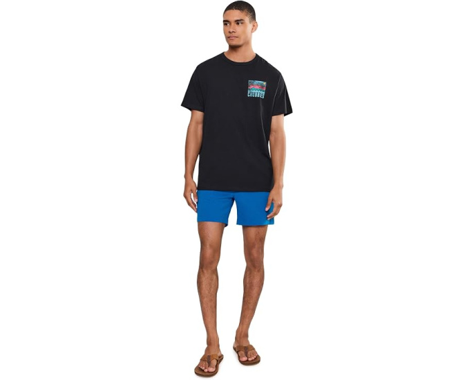 Шорты Chubbies The Blue Ribbons 6" Breezetech для повседневной носки