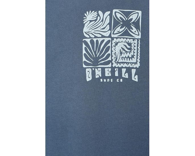 Футболка O'Neill OG Etching Vintage с коротким рукавом