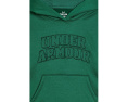 Детская флисовая кофта Under Armour Armour Fleece Hoodie