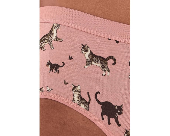 Трусы MeUndies UltraModal Core Hipster с принтом Frisky Business