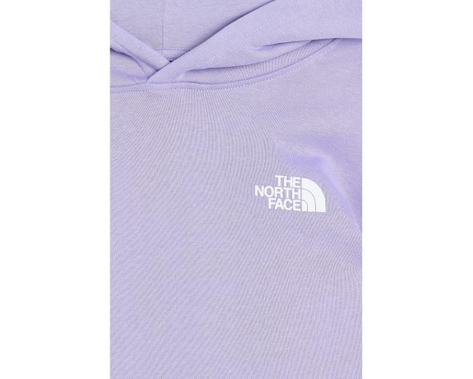 Худи The North Face Evolution Box NSE с капюшоном для детей