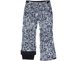 Burton Kids Barnstorm зимние штаны для детей