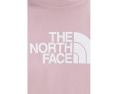 Футболка The North Face Evolution Half Dome с коротким рукавом