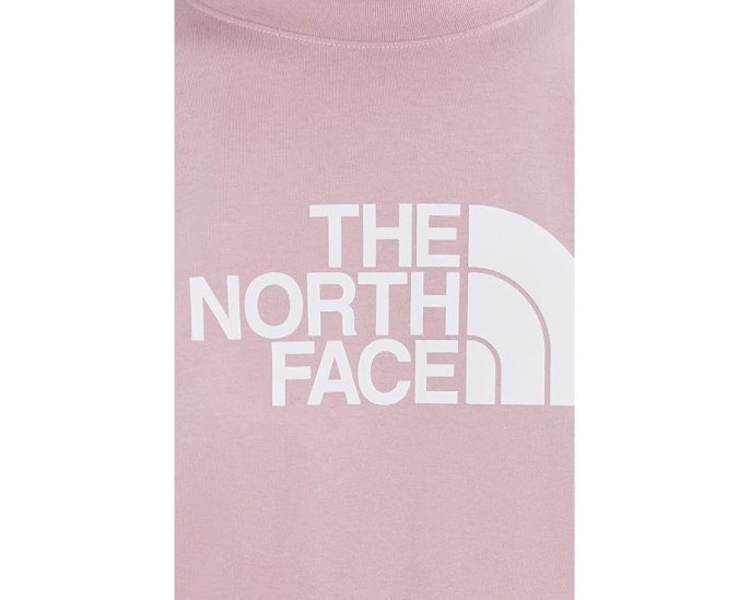 Футболка The North Face Evolution Half Dome с коротким рукавом