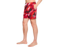 The Color Blitz Buccaneers 5.5" (Classic Lined Swim Trunks)
