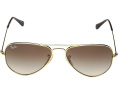 RJ9506S Aviator Sunglasses (Little Kid/Big Kid)