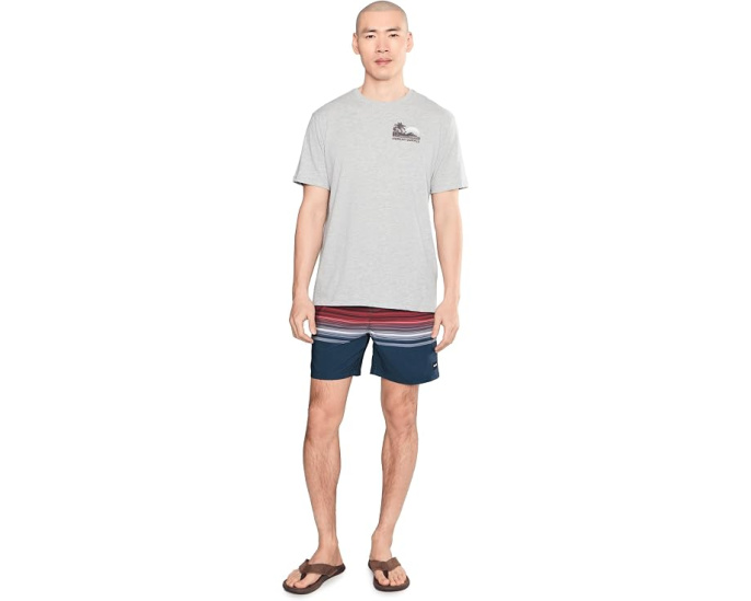 Hurley Cannonball Volley 17 шорты