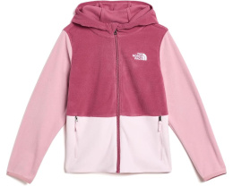 Детская толстовка Glacier Full Zip Hoodie с капюшоном от The North Face Kids