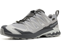 Трейловые кроссовки XA Pro 3D V9 GORE-TEX Salomon