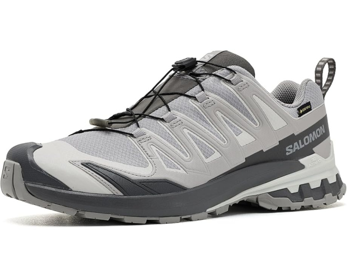 Трейловые кроссовки XA Pro 3D V9 GORE-TEX Salomon