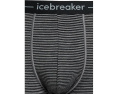 Боксеры Icebreaker Anatomica из шерсти с эластичным поясом
