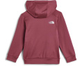 Флисовая куртка TNF Performance с капюшоном The North Face