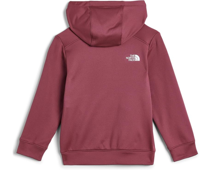 Флисовая куртка TNF Performance с капюшоном The North Face
