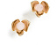 Серьги-гвоздики Gilded Garden с цветочным дизайном Kate Spade New York