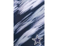 The Color Blitz Cowboys 5.5" (Classic Lined Swim Trunks)