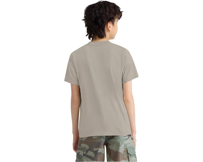 Футболка Joyride Tee для детей от abercrombie kids с принтом