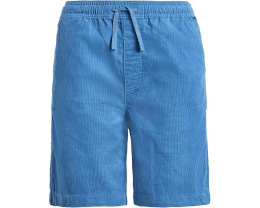 Quiksilver Kids Детские шорты Taxer Cord из мягкого вельвета с расслабленным кроем