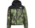 Двусторонняя куртка The North Face Shasta с капюшоном
