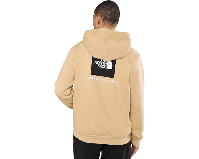 Толстовка The North Face Evolution Box NSE с капюшоном и принтом на спине