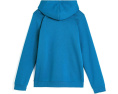 Детская флисовая кофта Rival Fleece Hoodie Under Armour с капюшоном