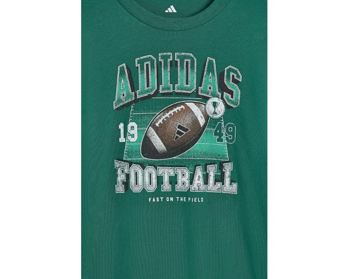 Детский комплект футболка и штаны Adidas с принтом гор