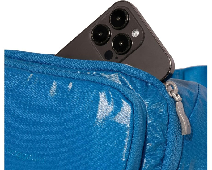 Поясная сумка Baggallini On The Go с защитой от RFID