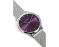 Часы Porter Milanese Nixon с миланским браслетом и солнечным циферблатом