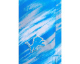 The Color Blitz Lions 5.5" (Classic Lined Swim Trunks)