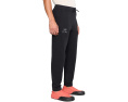 Утепленные джоггеры Emblem от Arc'teryx