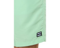 Шорты Billabong Las Buenas Solid LB Mist Green