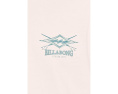 Футболка Billabong Crossboards Premium с коротким рукавом