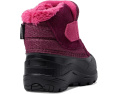 Детские зимние ботинки The North Face Kids Alpenglow II для малышей