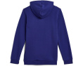 Худи The North Face Evolution Simple Dome Pullover для детей