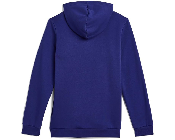 Худи The North Face Evolution Simple Dome Pullover для детей