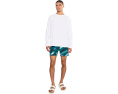 The Color Blitz Eagles 5.5" (Classic Lined Swim Trunks)