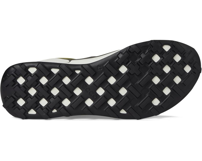 Трейловые кроссовки Biom 2.1 Cross Mountain Traverse с сеткой BREATHRU ECCO