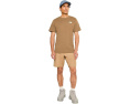 The North Face футболка Evolution TNF NSE Regular с коротким рукавом Caraway Seed