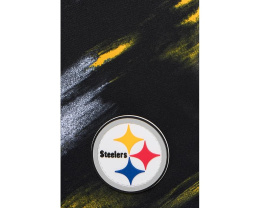 The Color Blitz Steelers 5.5" (Classic Lined Swim Trunks)