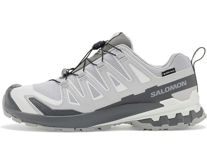 Кроссовки для трейлраннинга Salomon XA Pro 3D V9 GTX
